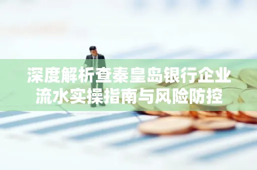 深度解析查秦皇岛银行企业流水实操指南与风险防控