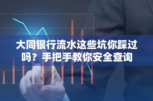 大同银行流水这些坑你踩过吗？手把手教你安全查询