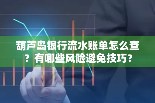 葫芦岛银行流水账单怎么查？有哪些风险避免技巧？