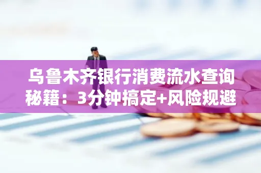 乌鲁木齐银行消费流水查询秘籍：3分钟搞定+风险规避干货