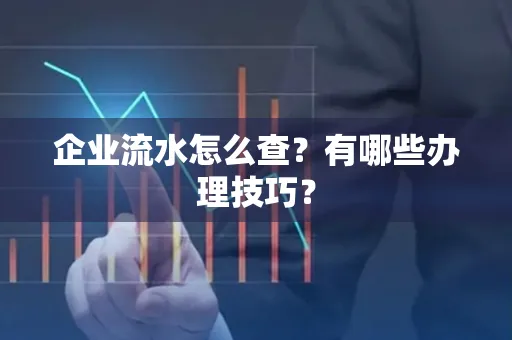 企业流水怎么查？有哪些办理技巧？