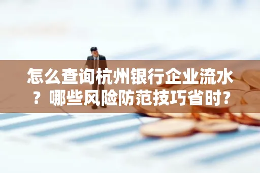 怎么查询杭州银行企业流水？哪些风险防范技巧省时？