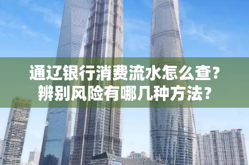 通辽银行消费流水怎么查？辨别风险有哪几种方法？