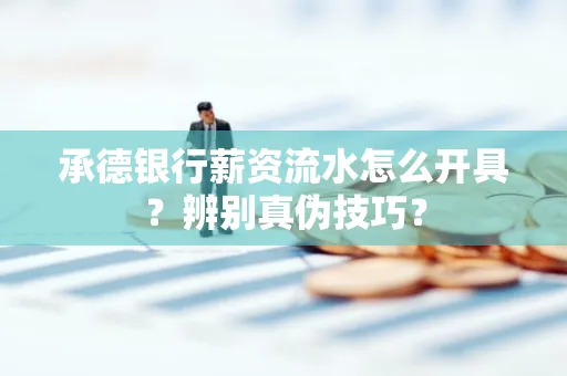 承德银行薪资流水怎么开具？辨别真伪技巧？