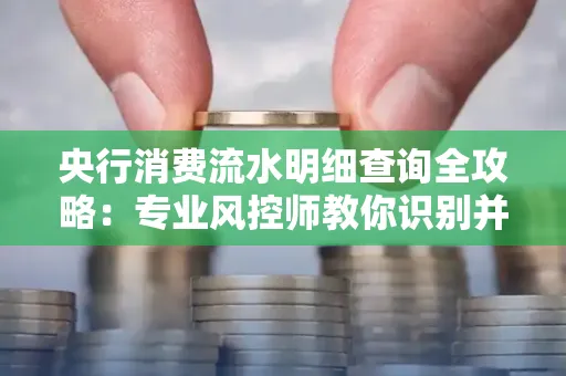 央行消费流水明细查询全攻略：专业风控师教你识别并规避用卡风险！