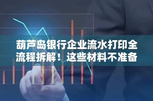 葫芦岛银行企业流水打印全流程拆解！这些材料不准备分分钟白跑一趟