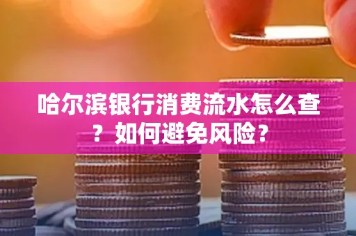 哈尔滨银行消费流水怎么查？如何避免风险？