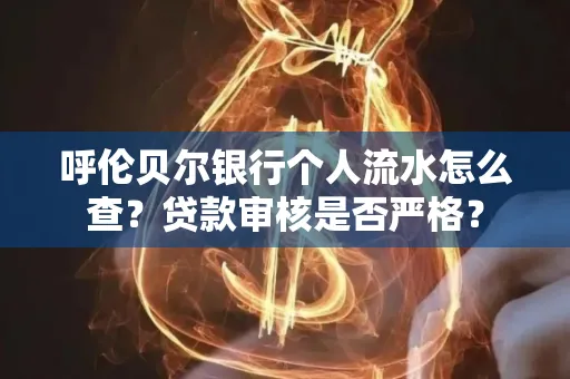 呼伦贝尔银行个人流水怎么查？贷款审核是否严格？
